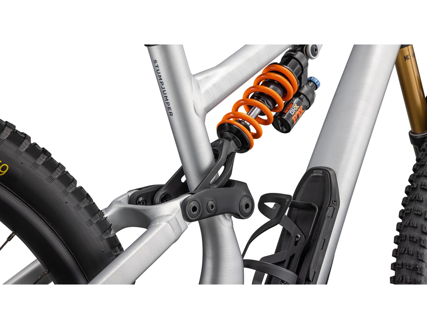 Stumpjumper 15 Fox Coil Alloy (2025)