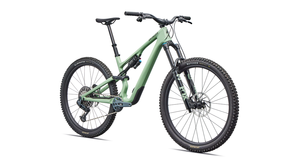 Stumpjumper 15 EVO Expert AXS