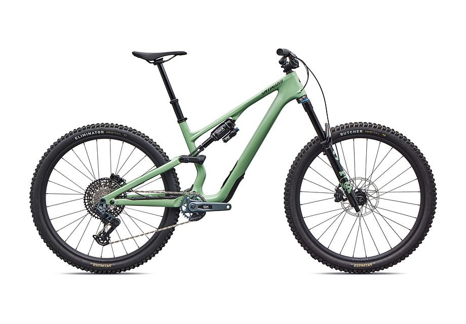 Stumpjumper 15 EVO Expert AXS