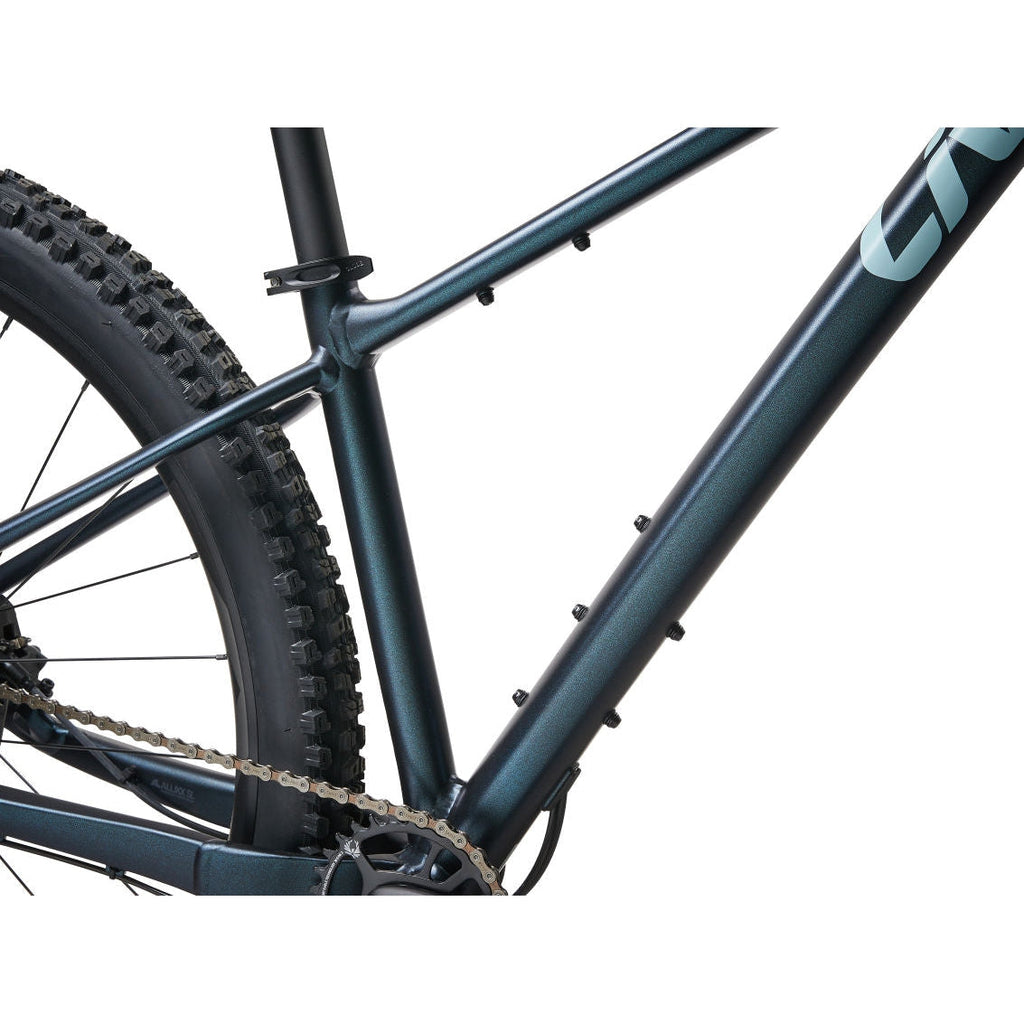 Lurra 29er 1 Mountain Bike (2023)