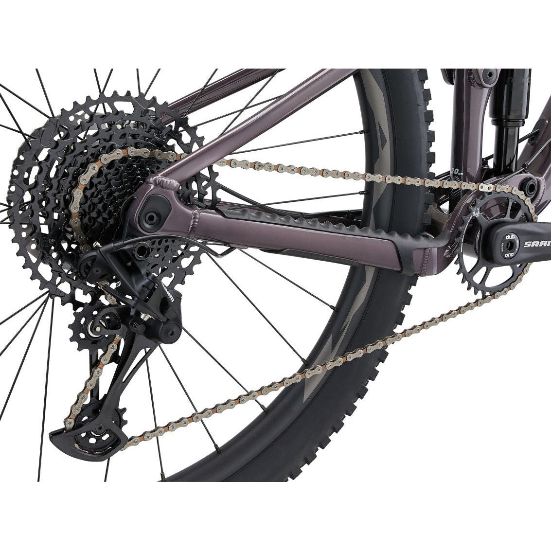 Embolden 29 1 (2024)