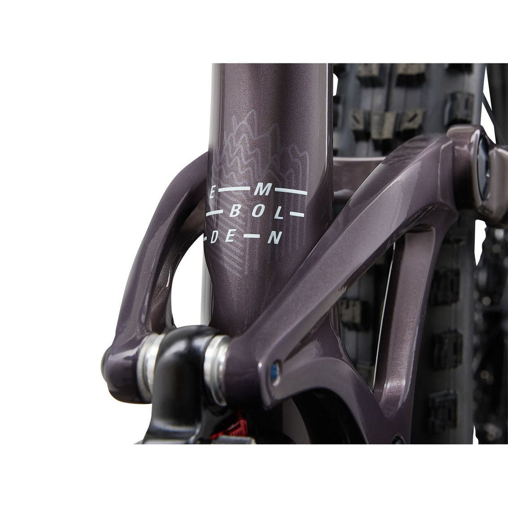 Embolden 29 1 (2024)