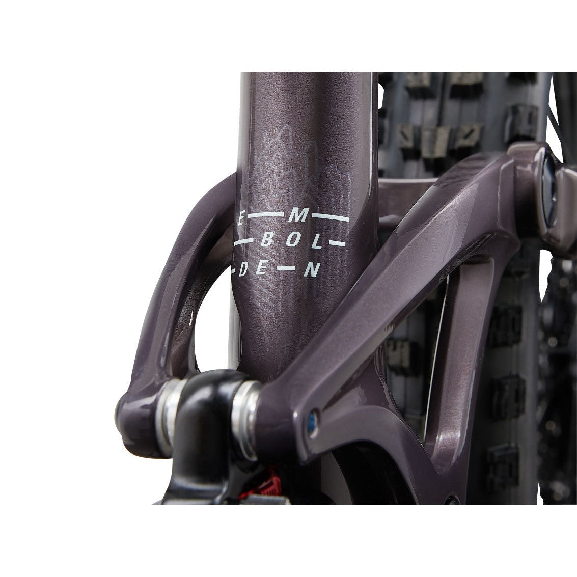 Embolden 29 1 (2024)