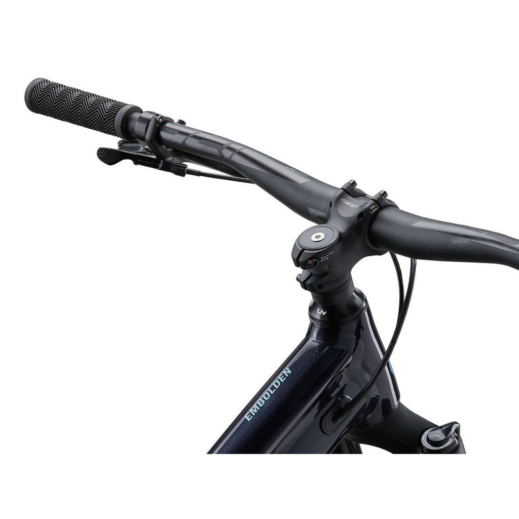 Embolden 29" 2 Mountain Bike (2024)