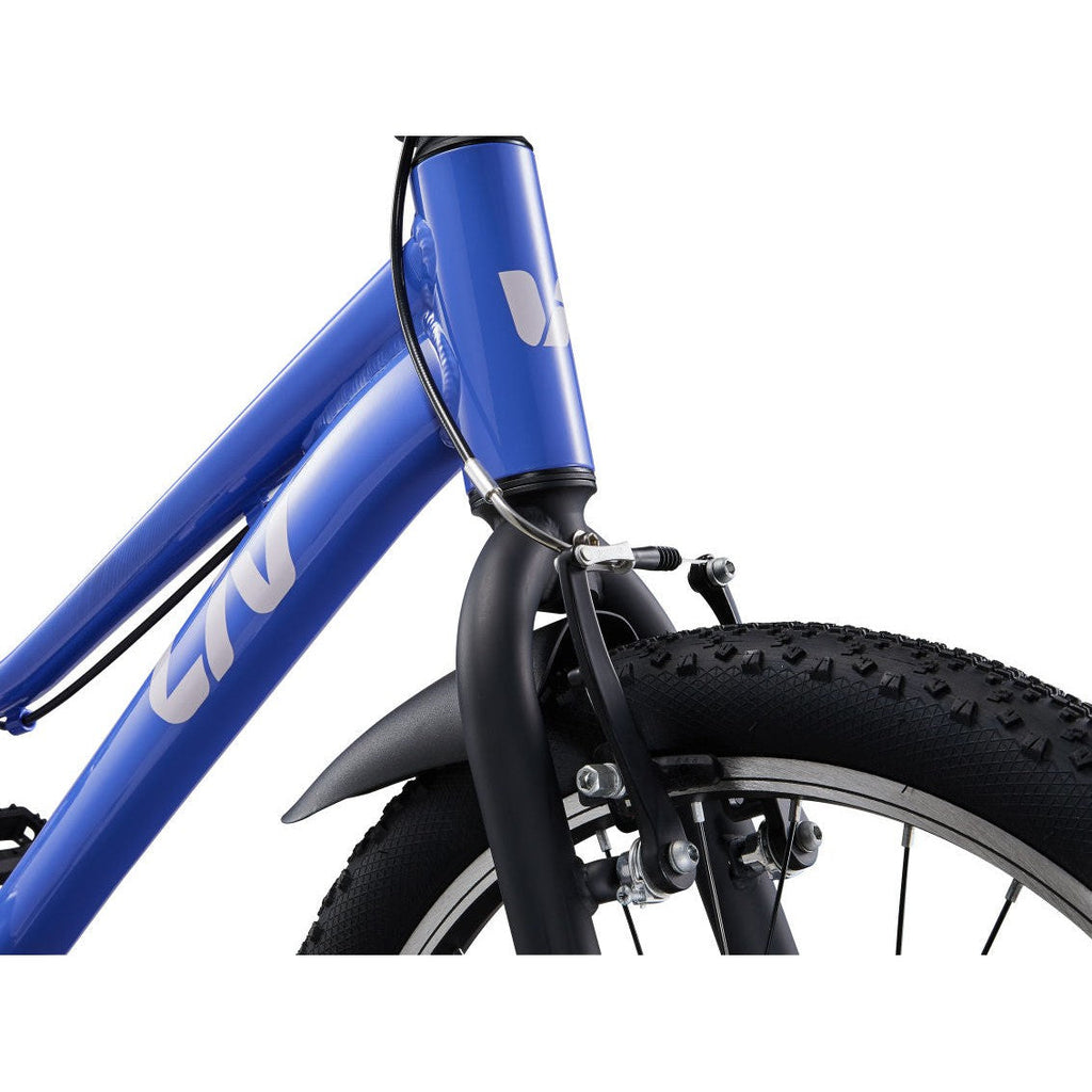 Tempt 20 Single Speed Kids Bike