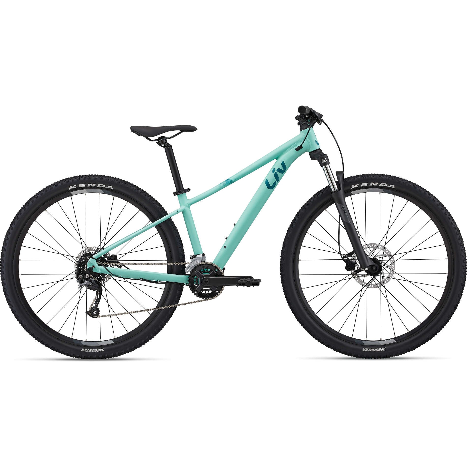 Tempt 2 29er Mountain Bike (2022)