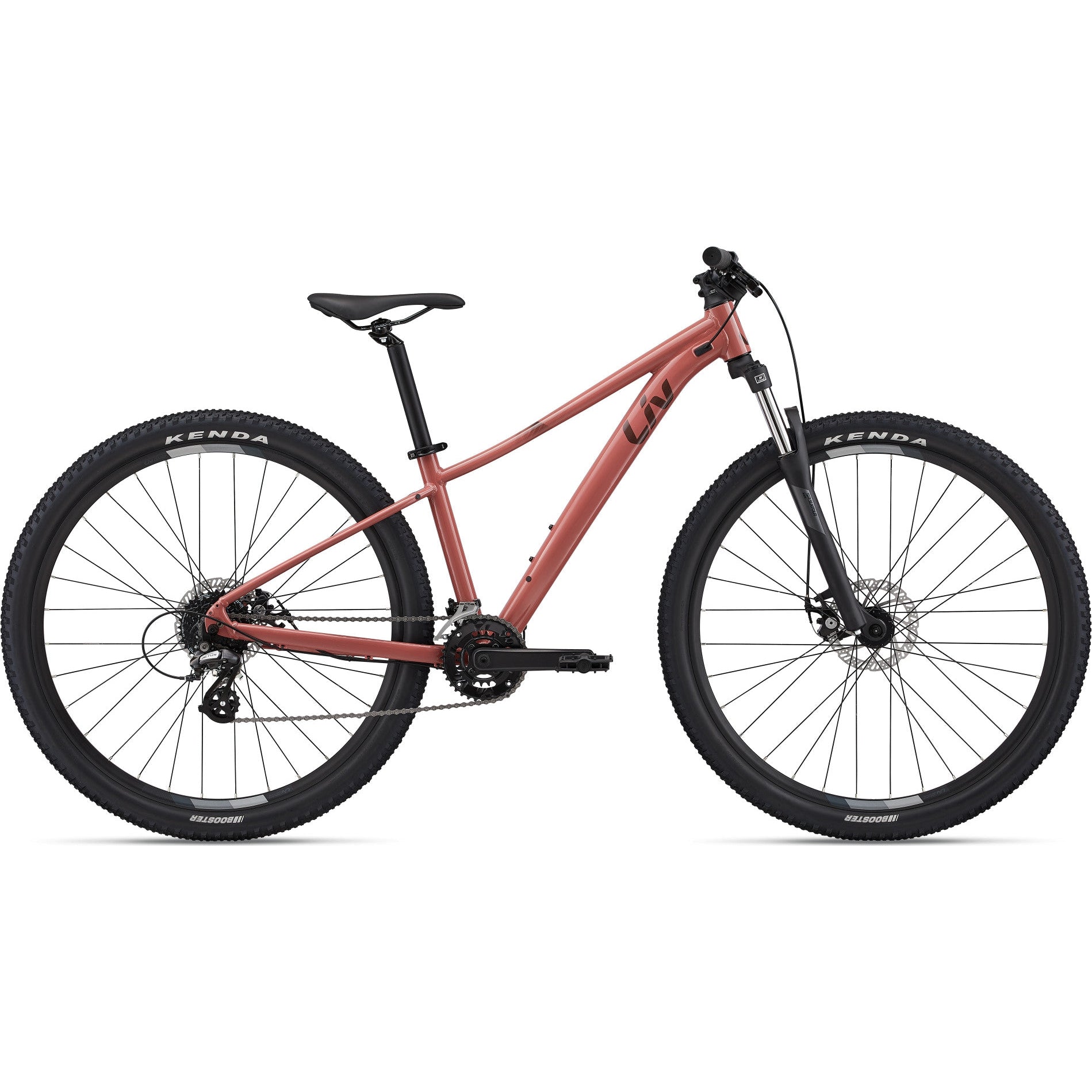 Tempt 4 29er Mountain Bike (2022)