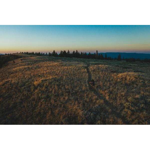 Trance Advanced Pro 3 29er Mountain Bike (2021)