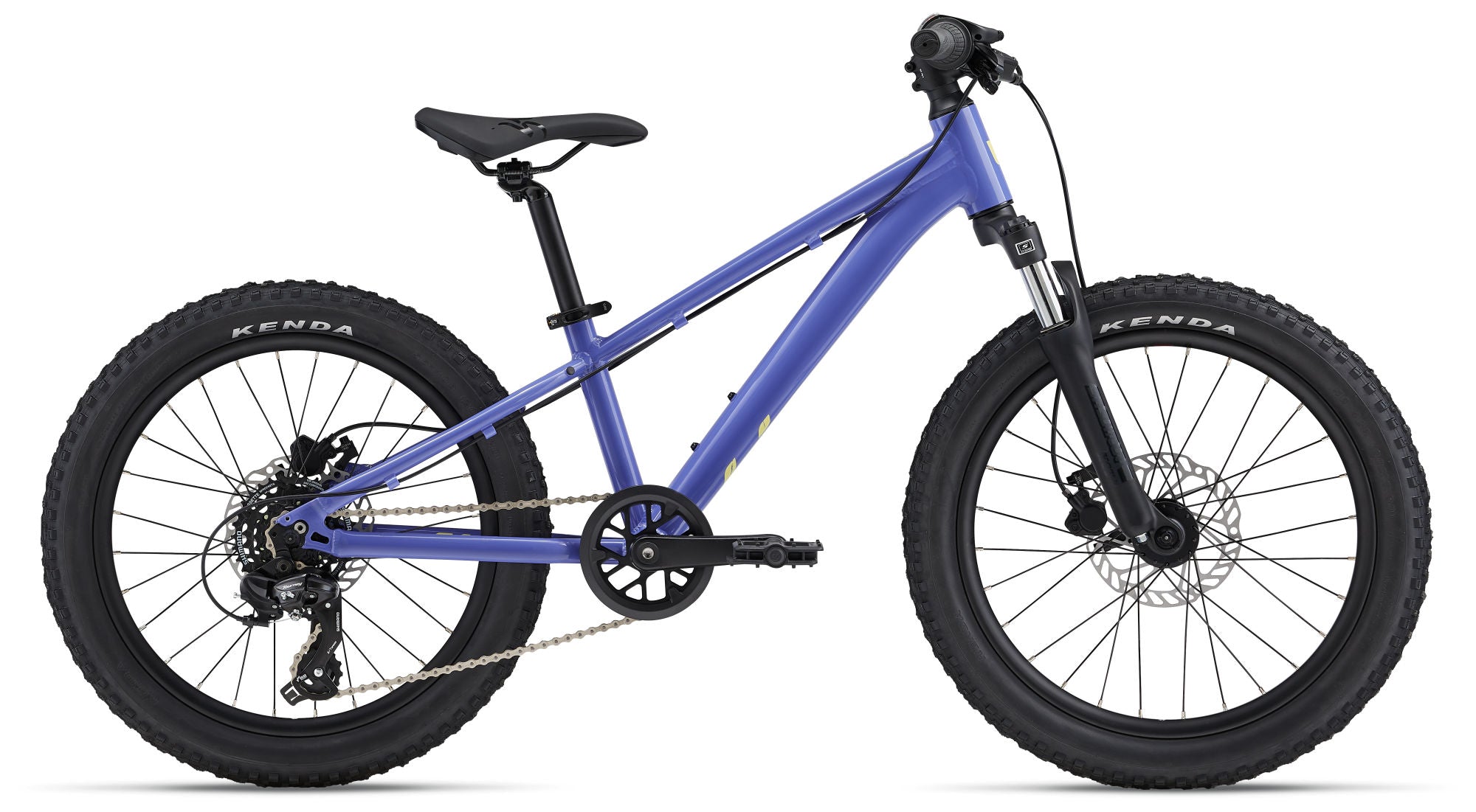 STP 20 FS Girls Bike