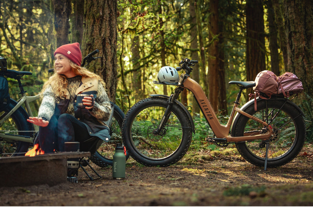 Aventure 3 Step Through Ebike