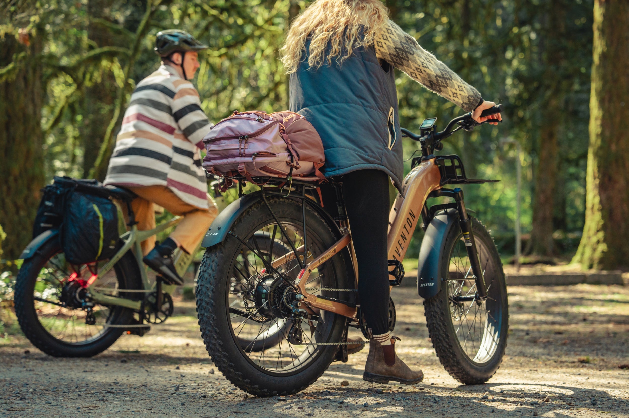 Aventure 3 Step Through Ebike