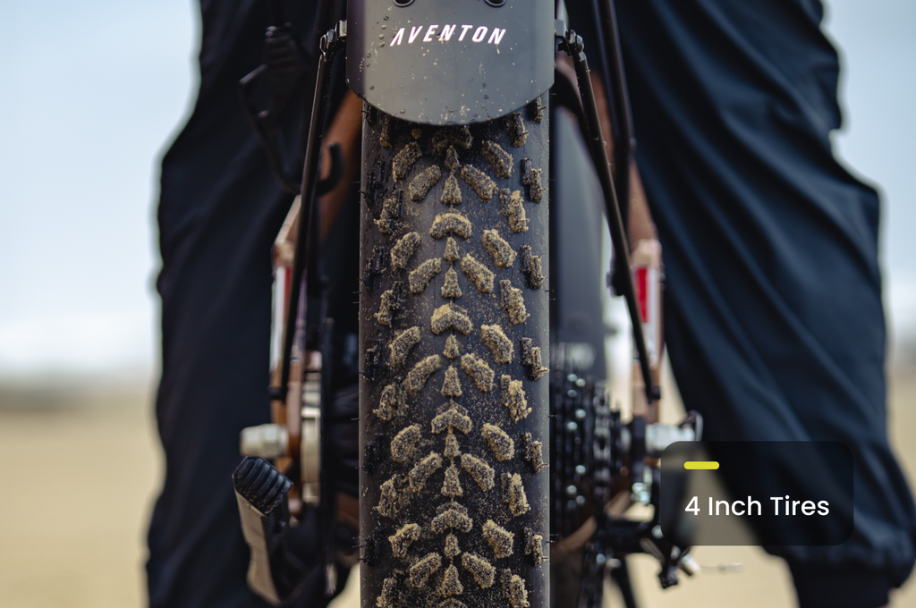 Aventure 3 Step Through Ebike